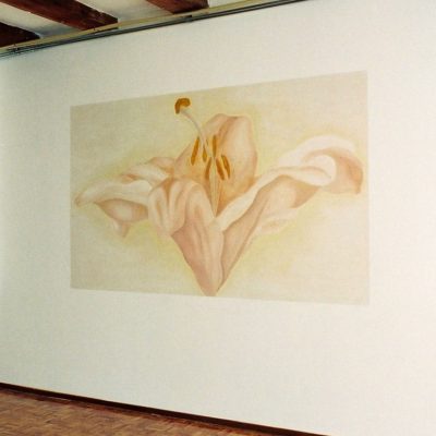 Lelies, Dansstudio. 250-100 cm